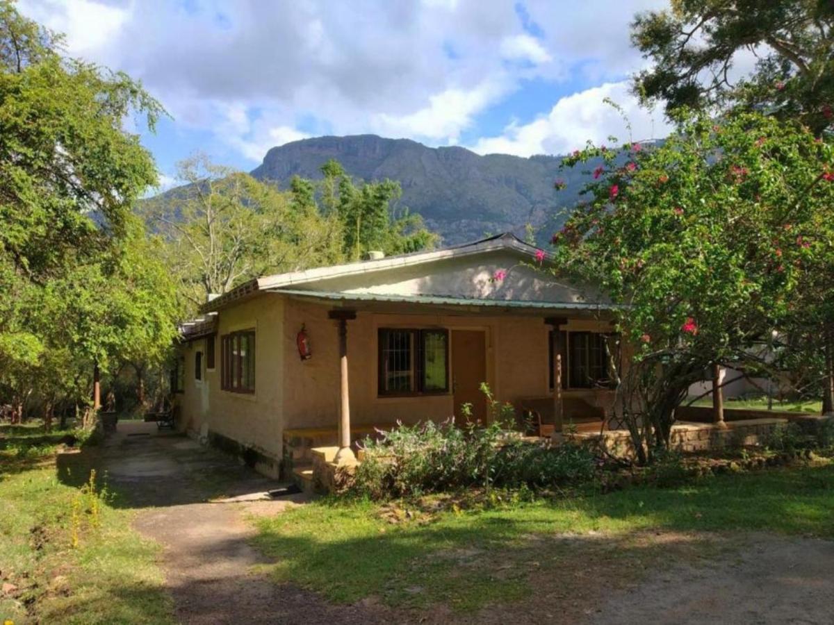 Hotel Jungle Hut à Masinagudi Extérieur photo
