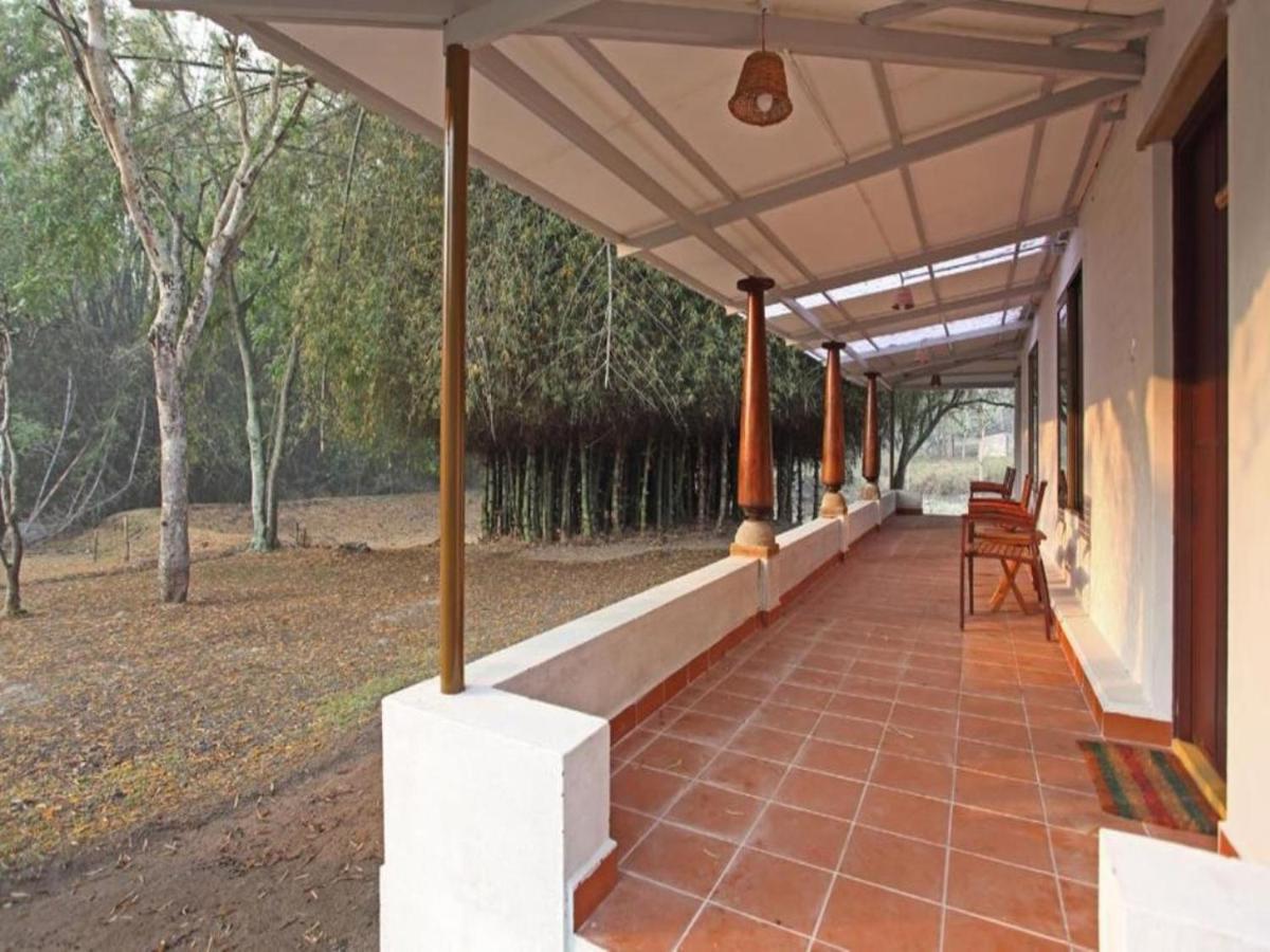 Hotel Jungle Hut à Masinagudi Extérieur photo