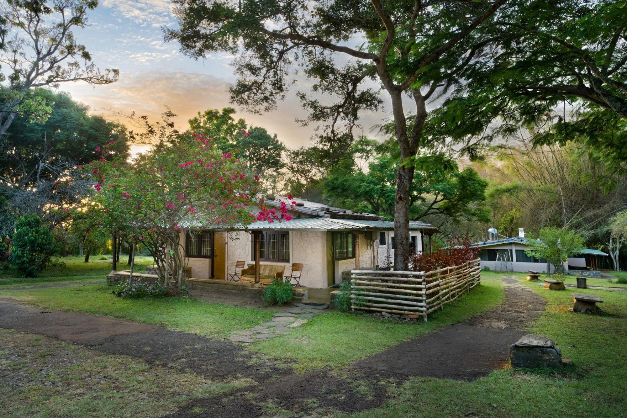 Hotel Jungle Hut à Masinagudi Extérieur photo